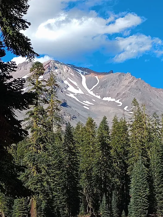 Upper sand flat field Picture 2