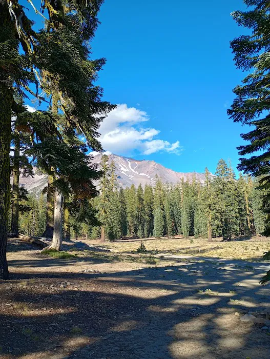 Upper sand flat field Picture 3