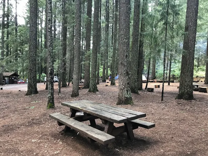 Hawkins Landing Campground Picture 5