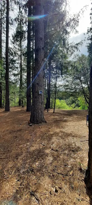 Madesi Campground Picture 7