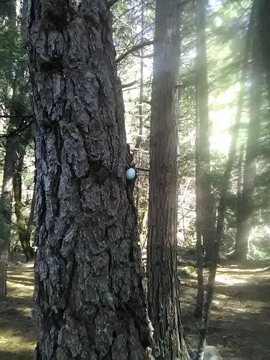 Madesi Campground Picture 1