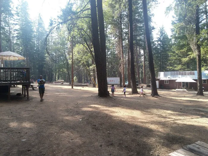 PSEA Camp Shasta Picture 6