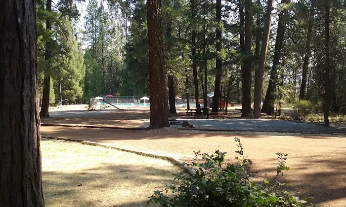 PSEA Camp Shasta Picture 9