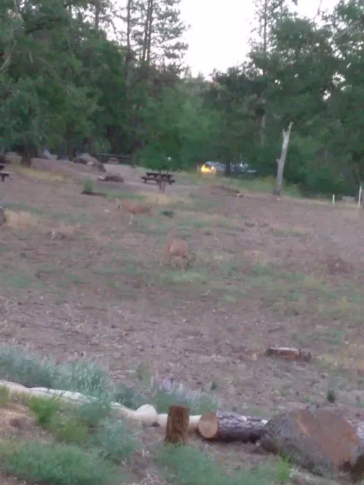 Northshore Campground Picture 9