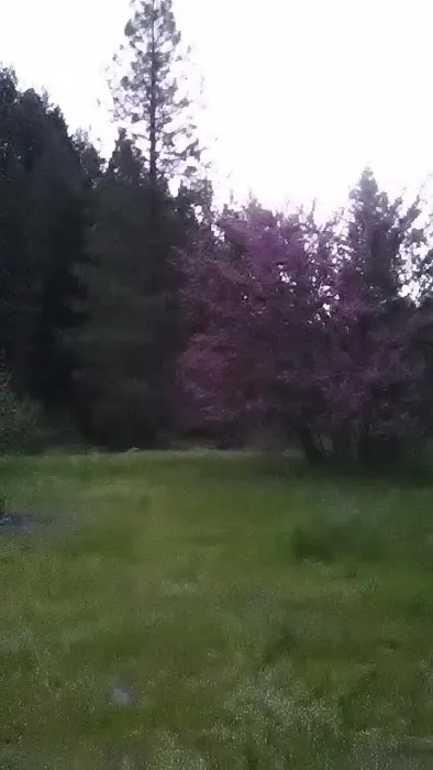 Ruling Creek Campground - Entrance Picture 1