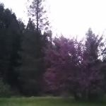 Ruling Creek Campground - Entrance