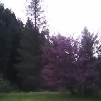 Ruling Creek Campground - Entrance ico
