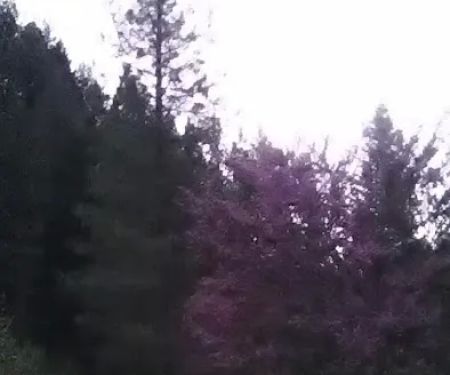 Ruling Creek Campground - Entrance