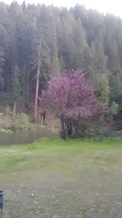 Ruling Creek Campground - Entrance Picture 5