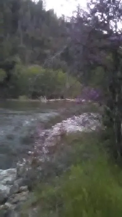 Ruling Creek Campground - Entrance Picture 4