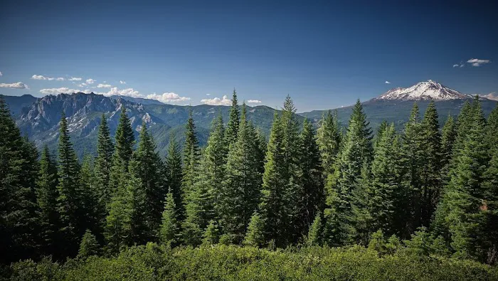 Girard Ridge Lookout Picture 5