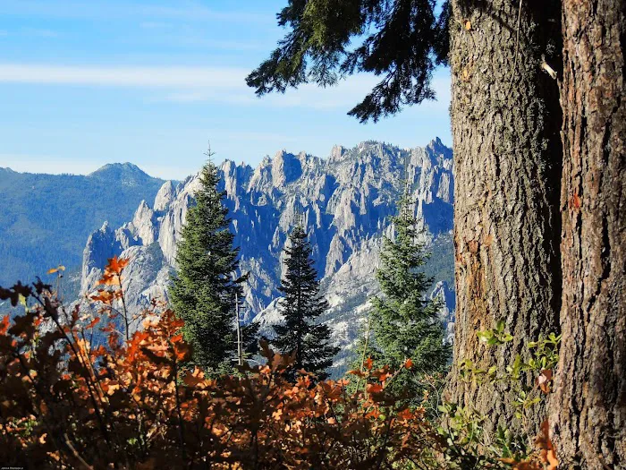 Girard Ridge Lookout Picture 7