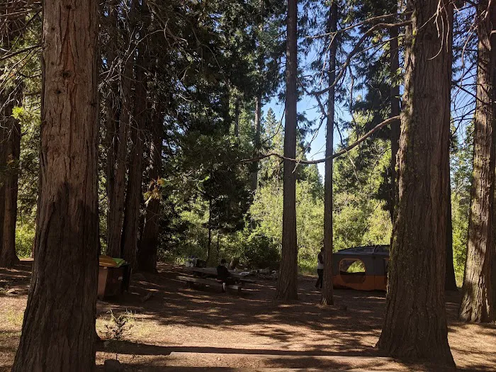 McBride Springs Campground Picture 1