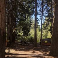 McBride Springs Campground ico