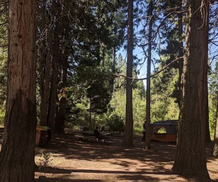 McBride Springs Campground