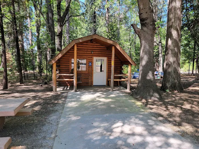 Mount Shasta City KOA Holiday Picture 5
