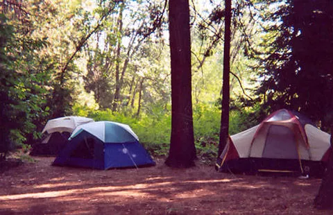 Mount Shasta City KOA Holiday Picture 4