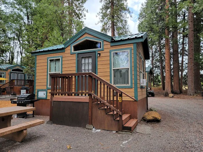 Mount Shasta City KOA Holiday Picture 10