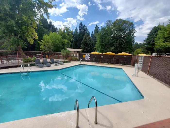 Mount Shasta City KOA Holiday Picture 3