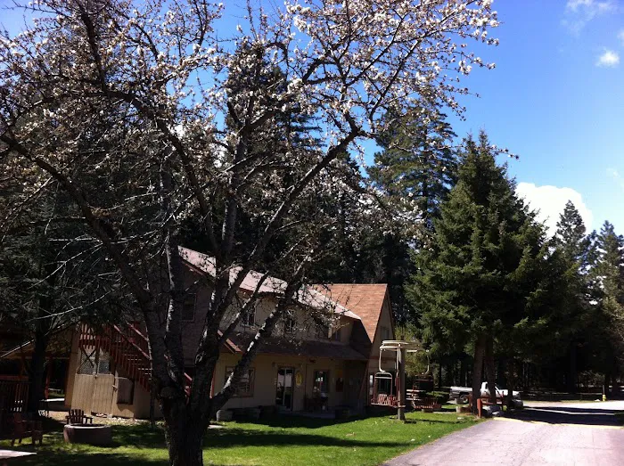 Mount Shasta City KOA Holiday Picture 1