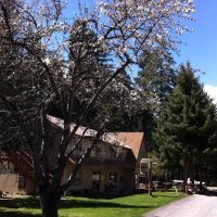 Mount Shasta City KOA Holiday ico