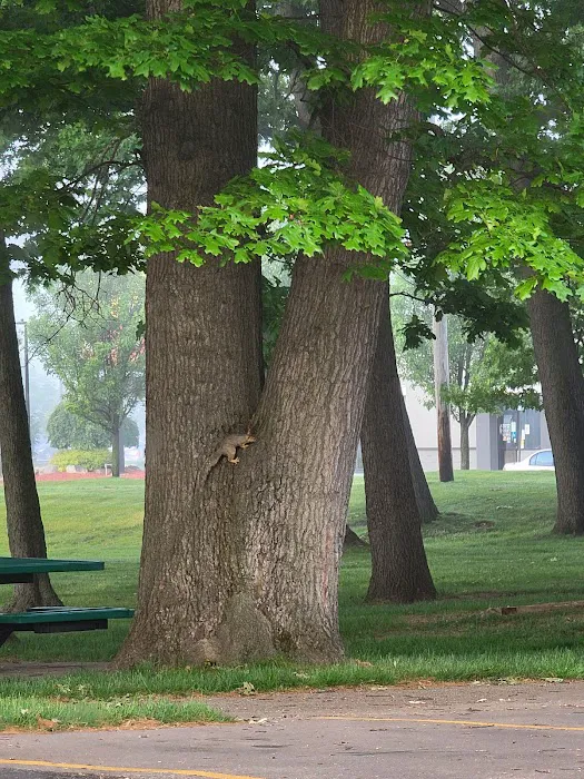 Windsor Woods Village Picture 5