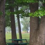 Windsor Woods Village