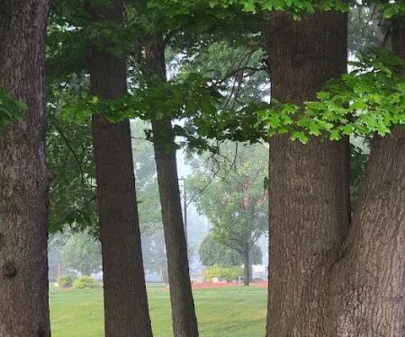 Windsor Woods Village