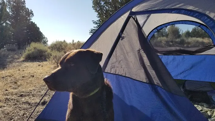 Indian Well Campground Picture 1