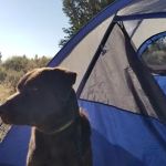 Indian Well Campground