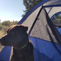 Indian Well Campground ico