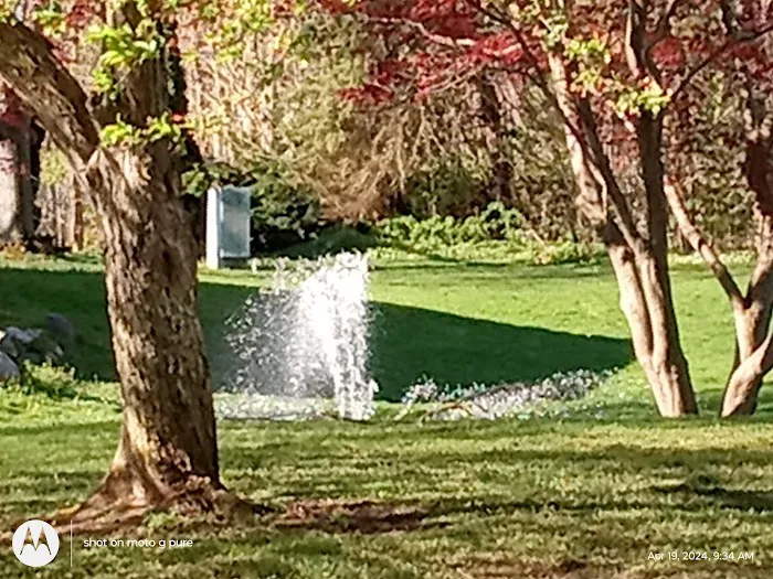 Brookshire Meadows Picture 1