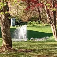 Brookshire Meadows ico