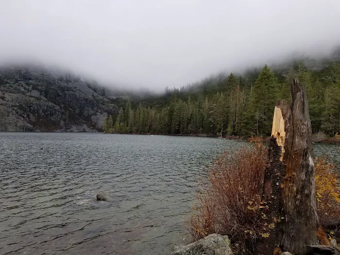 Castle Lake Campground Picture 6