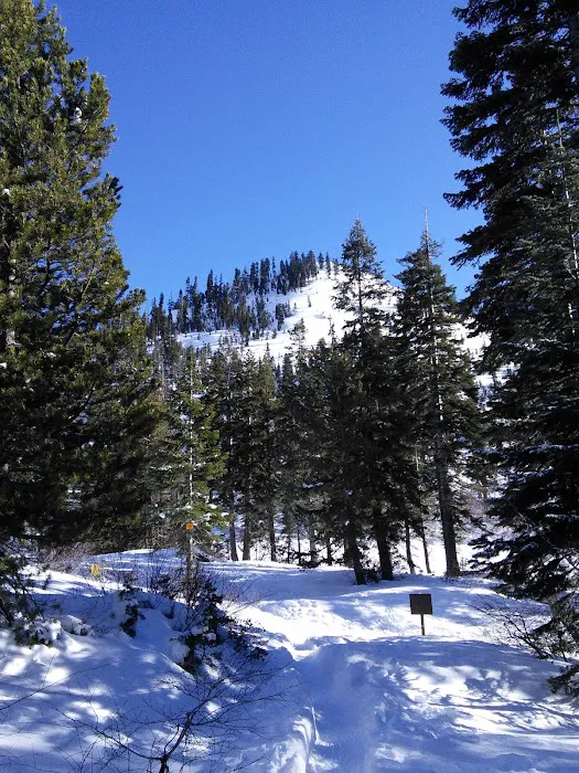 Castle Lake Campground Picture 1