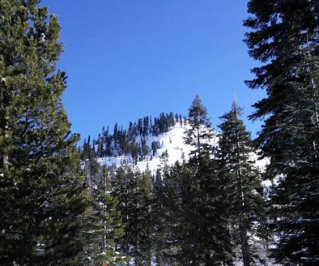 Castle Lake Campground