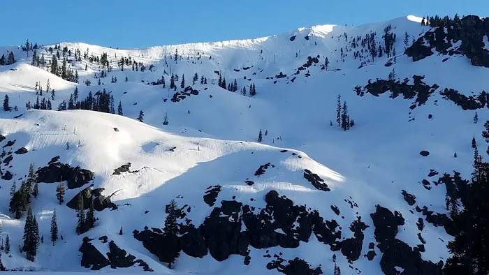 Castle Lake Campground Picture 3