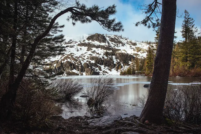 Castle Lake Campground Picture 10