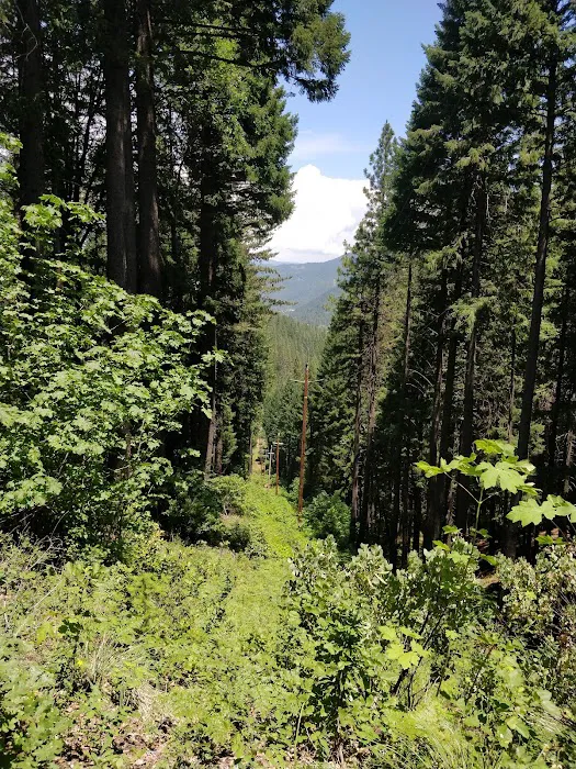 Castle Crags State Park Campground Picture 9