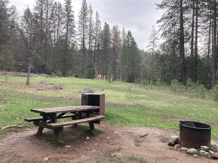 Castle Crags State Park Campground Picture 1