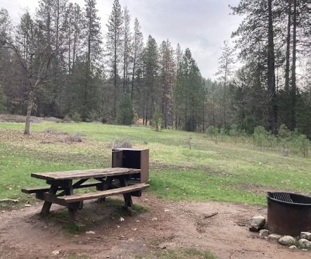 Castle Crags State Park Campground