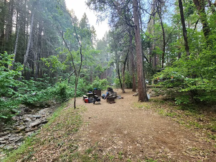 Castle Crags State Park Campground Picture 6