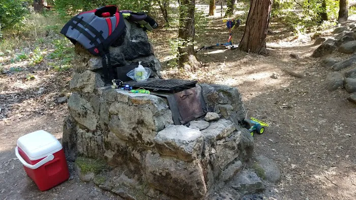 Castle Crags State Park Campground Picture 8