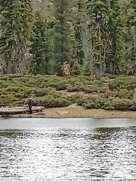 Gumboot Campground Picture 9