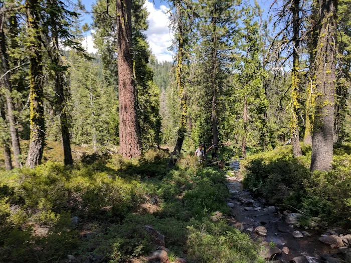 Gumboot Campground Picture 6