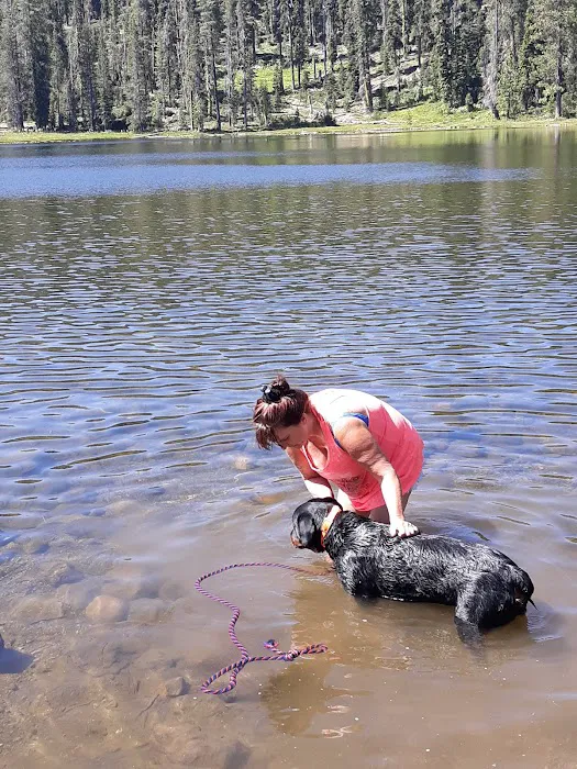 Gumboot Campground Picture 10