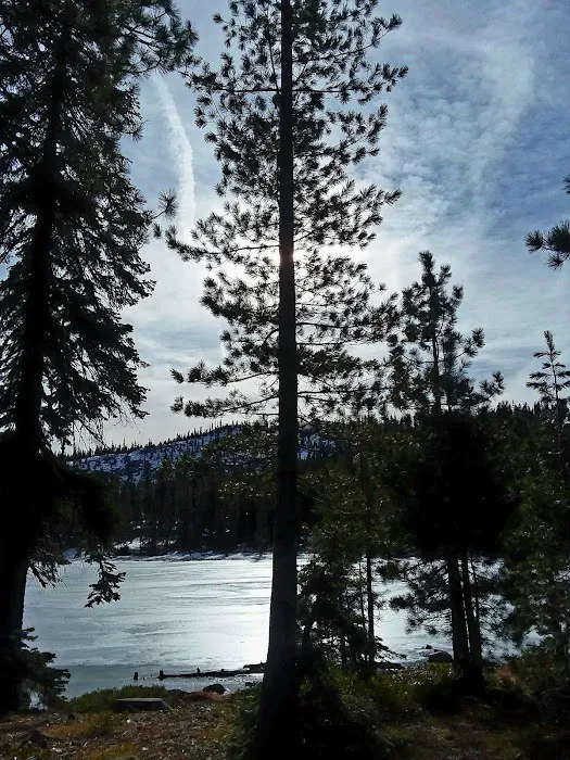 Gumboot Campground Picture 4