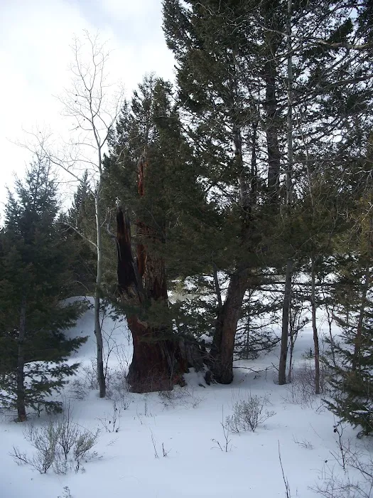Birch Creek Cabin Picture 9