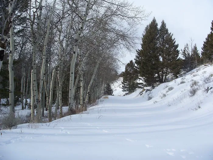 Birch Creek Cabin Picture 8