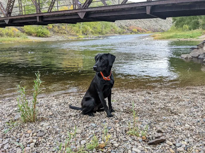 Browne's Bridge Campground Picture 10